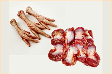 MIUDOS DE FRANGO